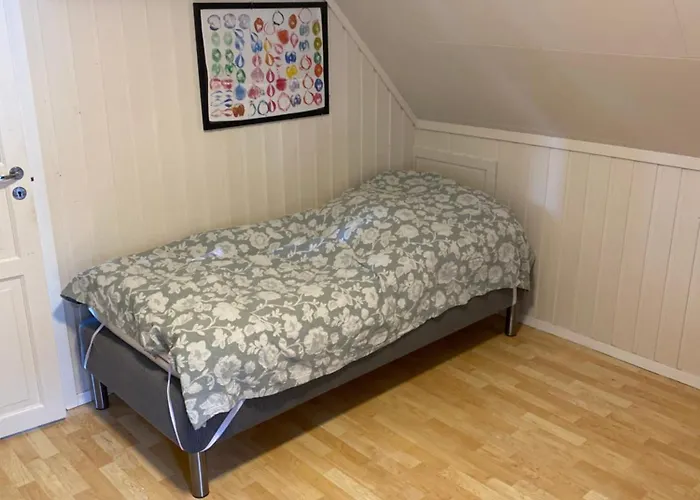 Stort Hus Med Garasje, 3 Soverom Свольвер