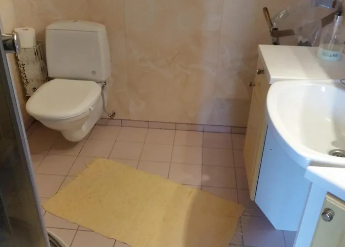 Stort Hus Med Garasje, 3 Soverom Willa *